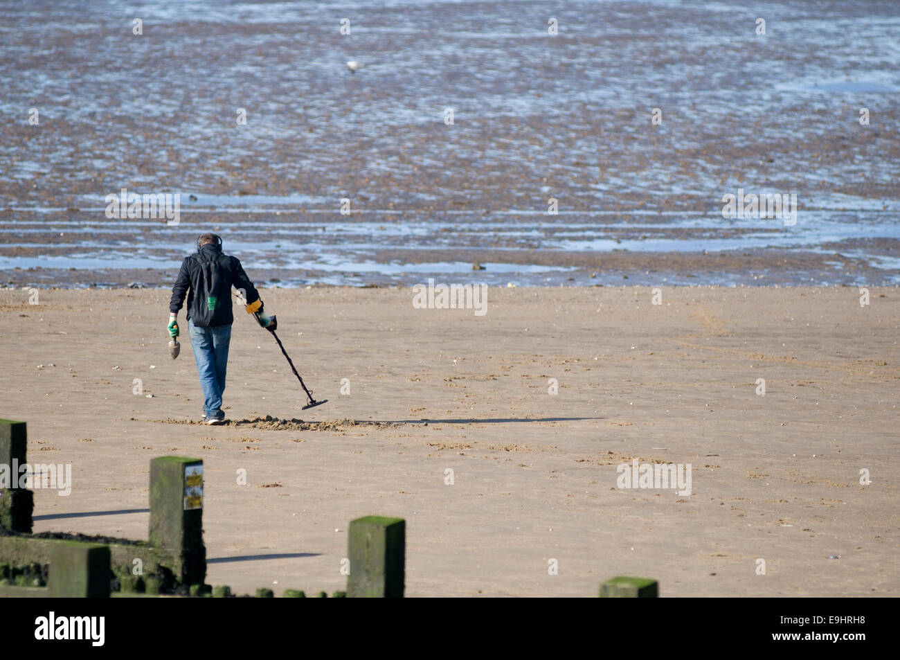 metal detector treasure hunter hunters detectors detectorist detectorists detectors