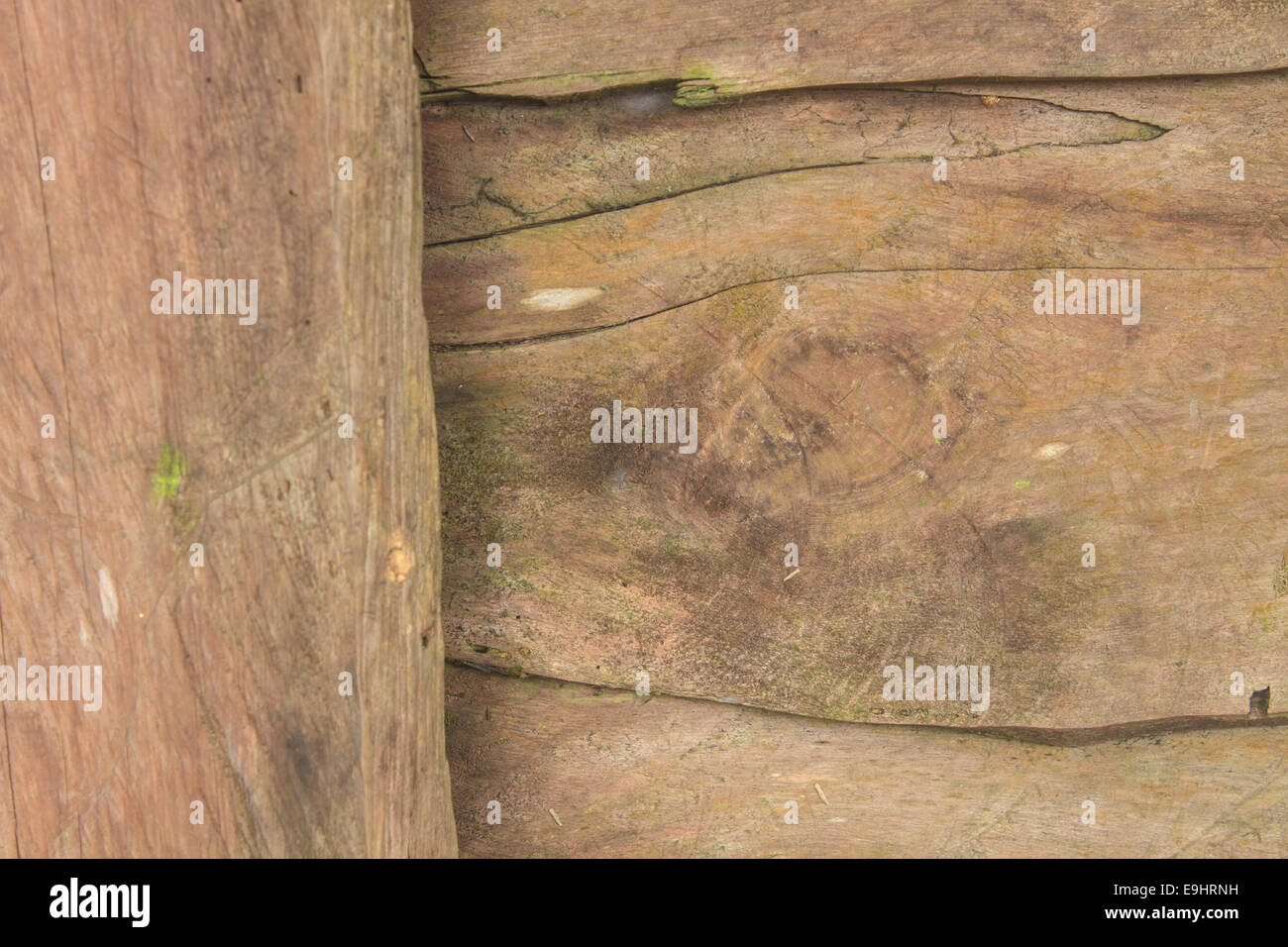 texture of bark wood use as natural background Stock Photo - Alamy