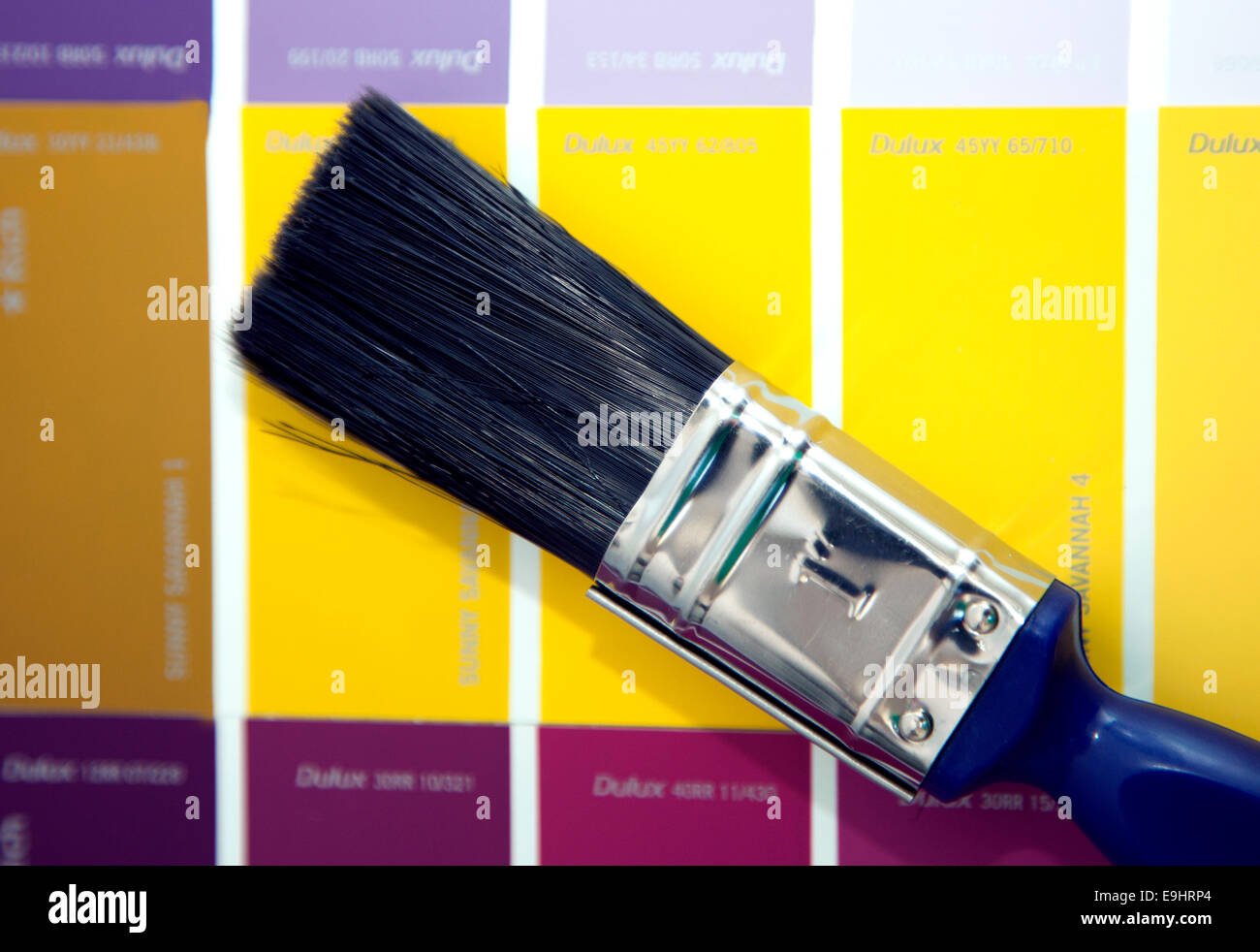 Paint colour card hi-res stock photography and images Alamy