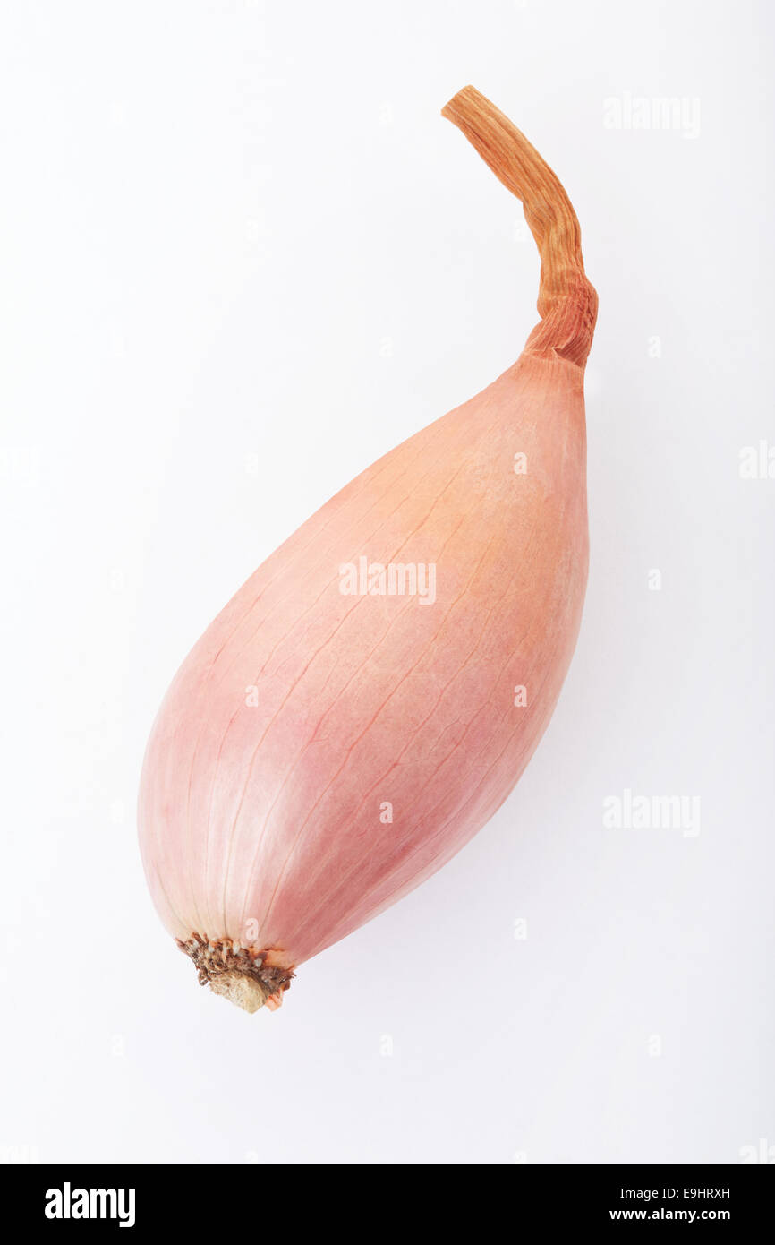 Premium Photo  Shallots or red onion purple shallots on basket fresh  shallot for medicinal products or herbs and spices thai food made from this  raw shallot