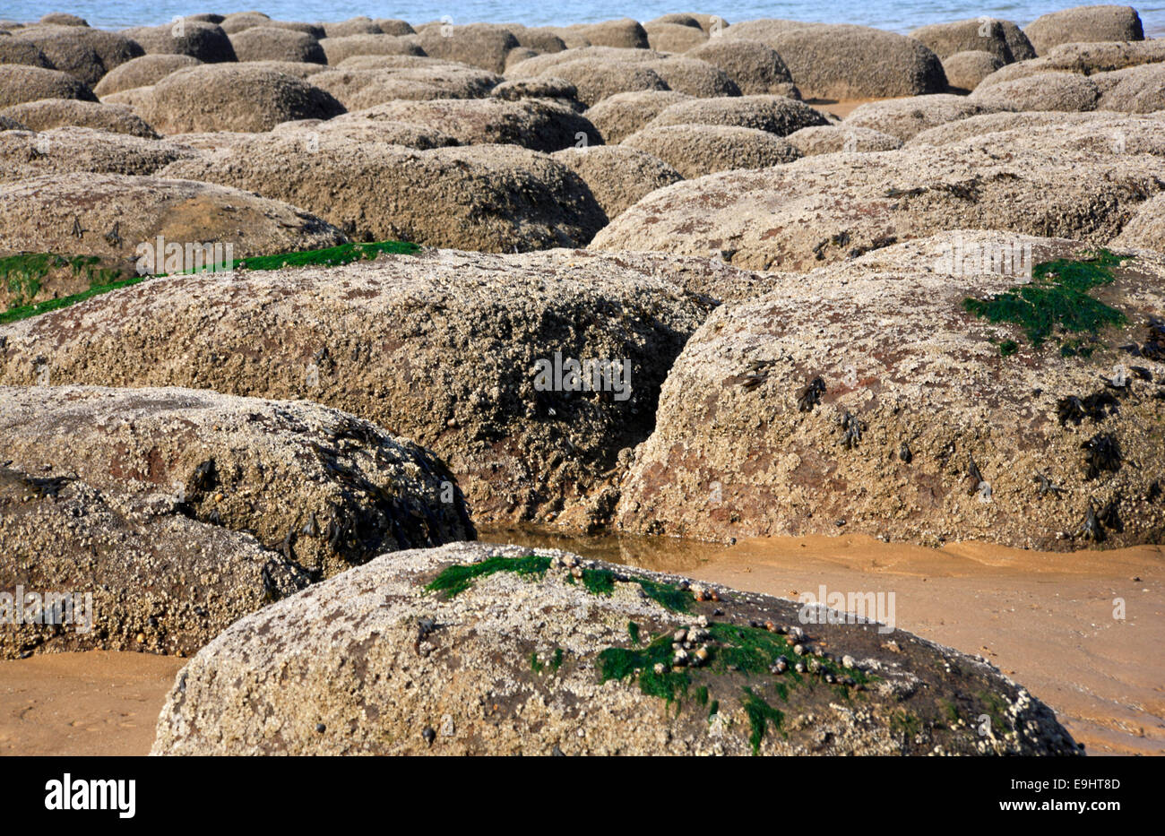 A view of carstone rocks on the beach at Hunstanton, Norfolk, England ...