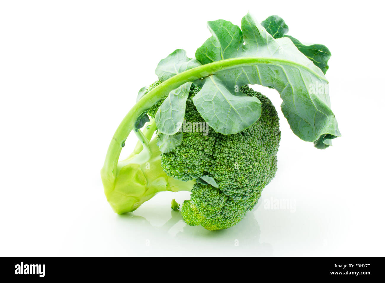 Fresh raw broccoli isolated on white background Stock Photo