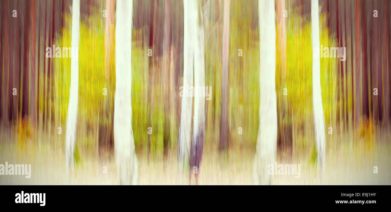 Abstract motion blurred trees in a forest. Stock Photo
