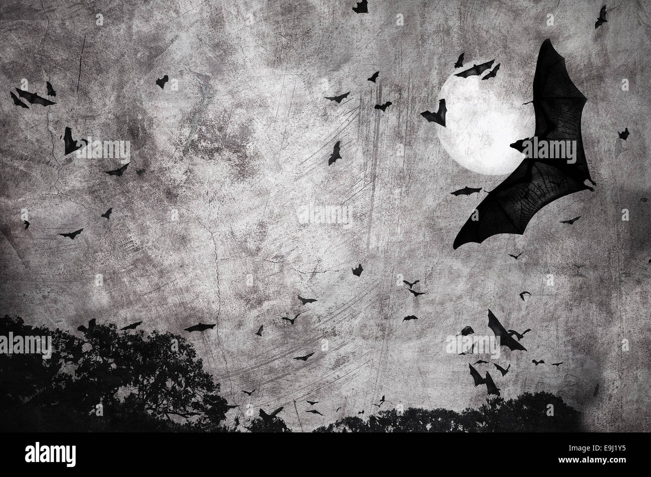 bats in the dark cloudy sky, perfect halloween background Stock Photo