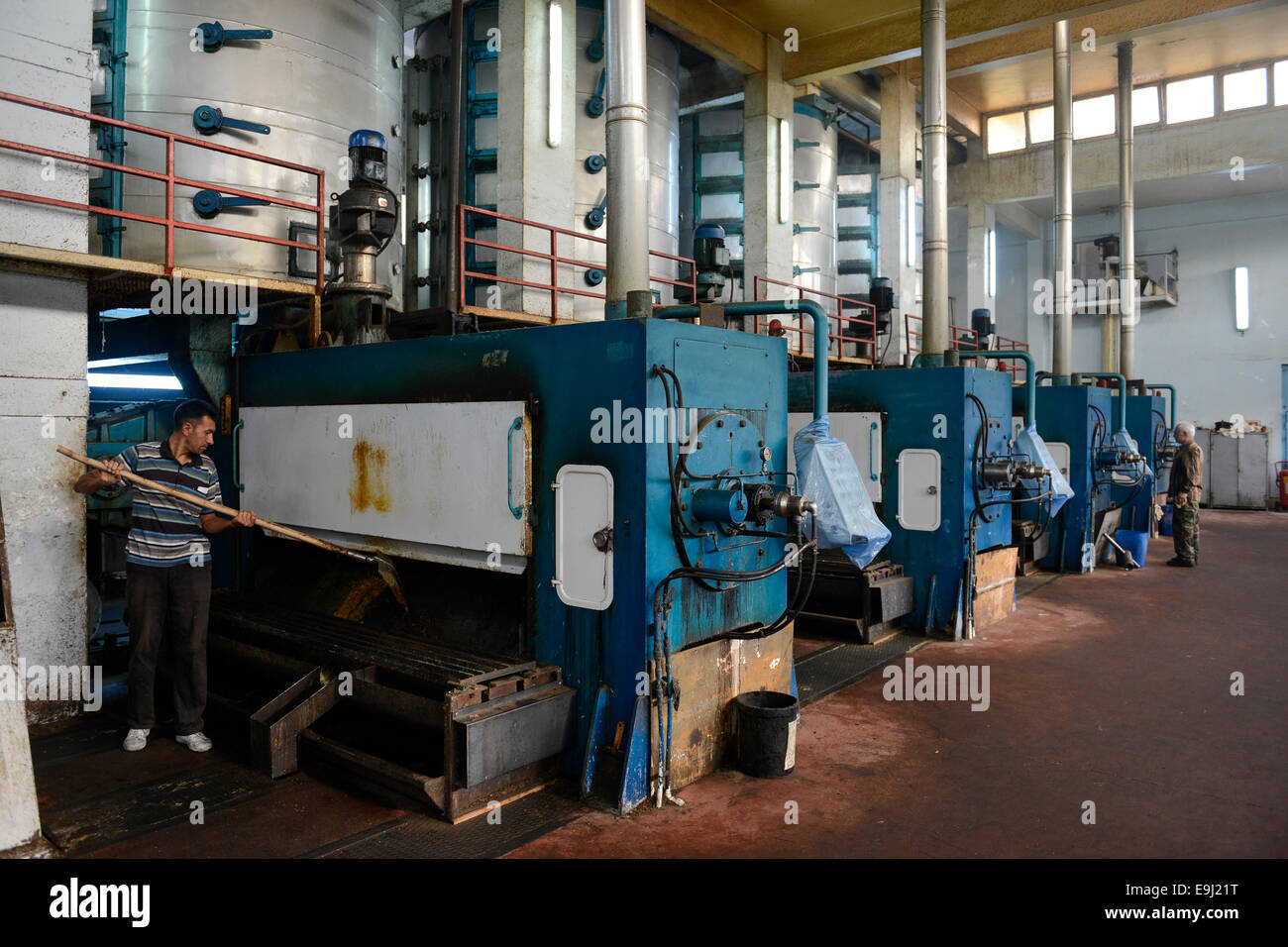 TURKEY, Adana, Pakmil ginning factory, processing of harvested conventional cotton, oil mill for pressing oil from cotton seed Stock Photo