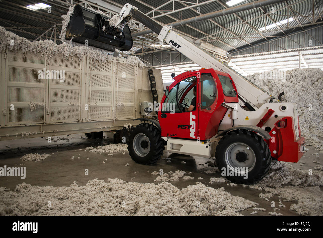 TURKEY, Menemen, ginning factory, processing of harvested conventional cotton, supply of harvested cotton from farm to ginning Stock Photo