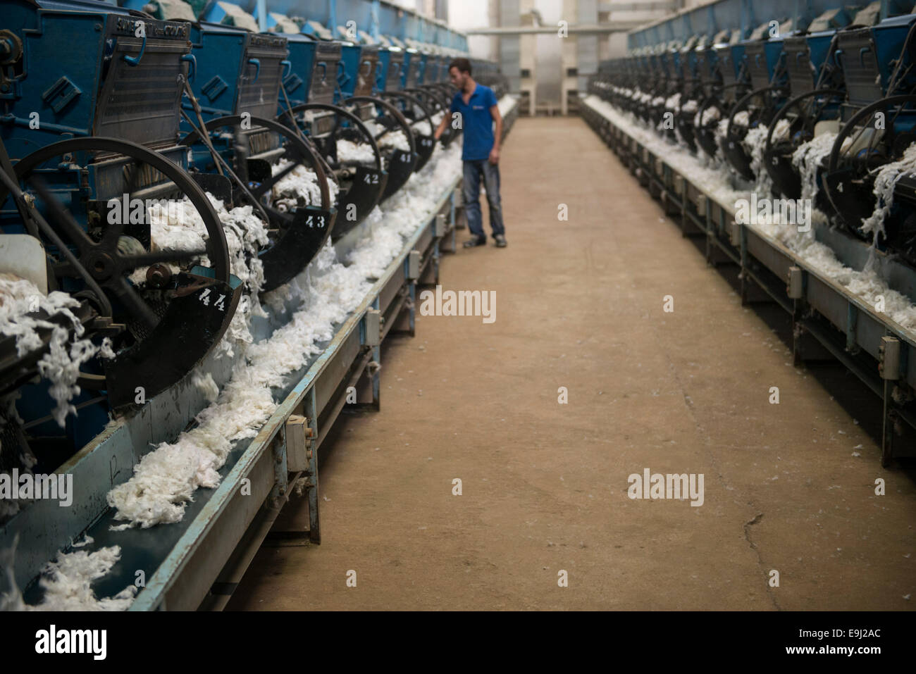 TURKEY, Menemen, ginning factory, processing of harvested conventional cotton, seperating of fibre and seed by machine Stock Photo