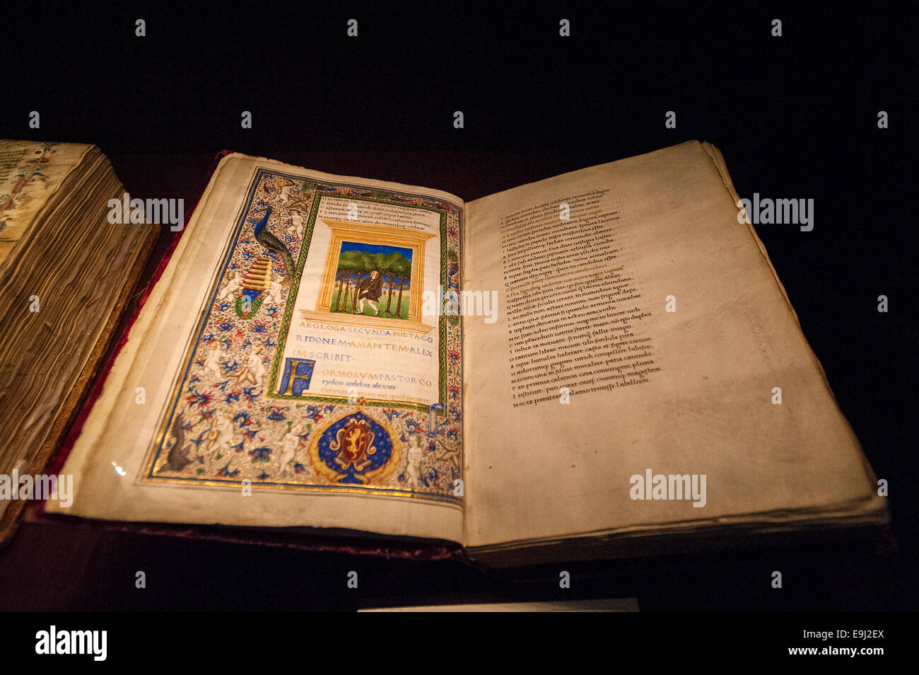 Turin, Italy. 28th October, 2014. Royal Library of Turin. Presentation of the exhibition 'Leonardo and the treasures of the king,'  The exhibition, which opens to the public 30th October 2014. Publio Virgilio Marone Opera XV century Credit:  Realy Easy Star/Alamy Live News Stock Photo