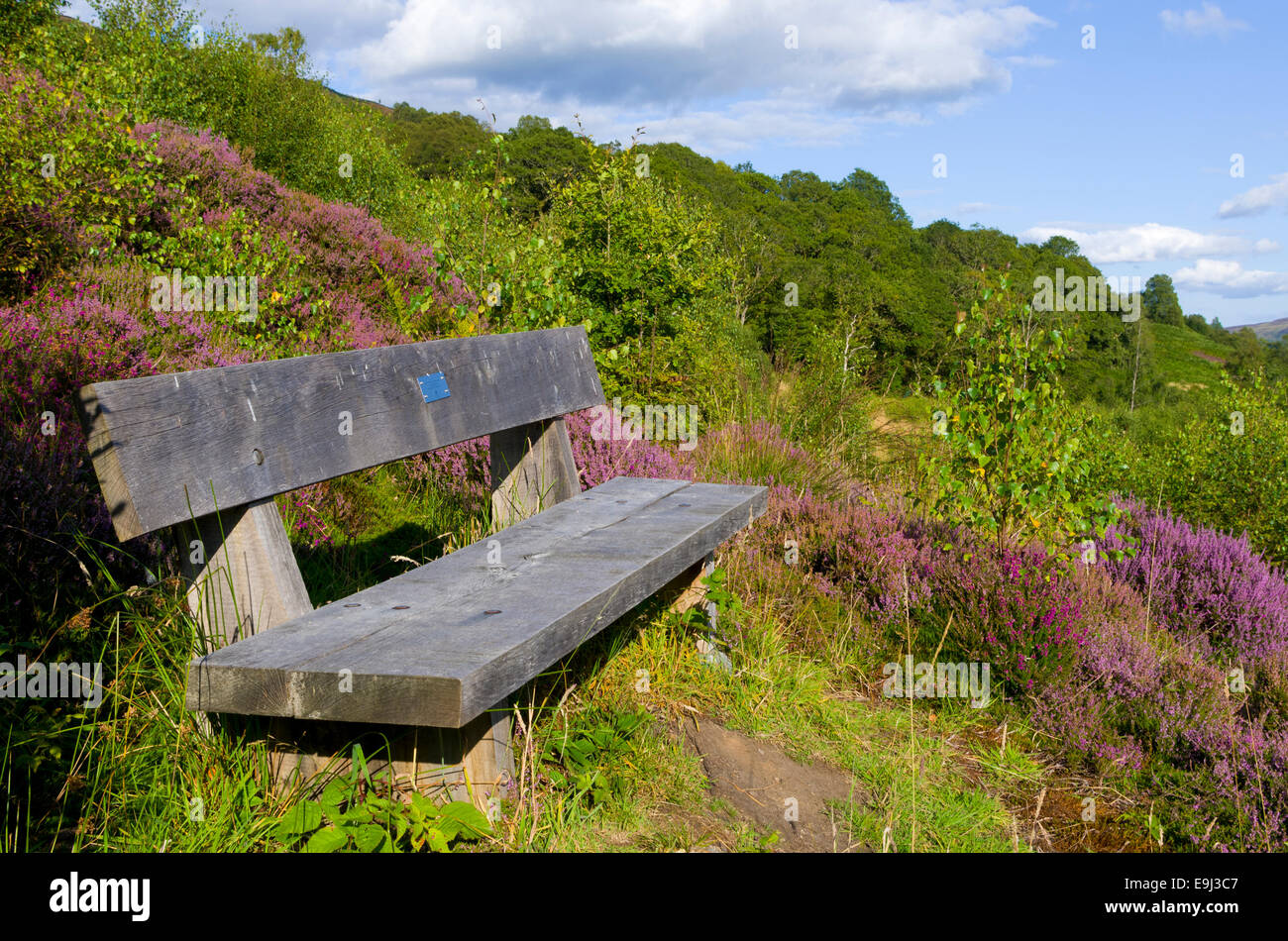 Lendrick Hill, Glen Finglas, Trossachs, Scotland, UK Stock Photo