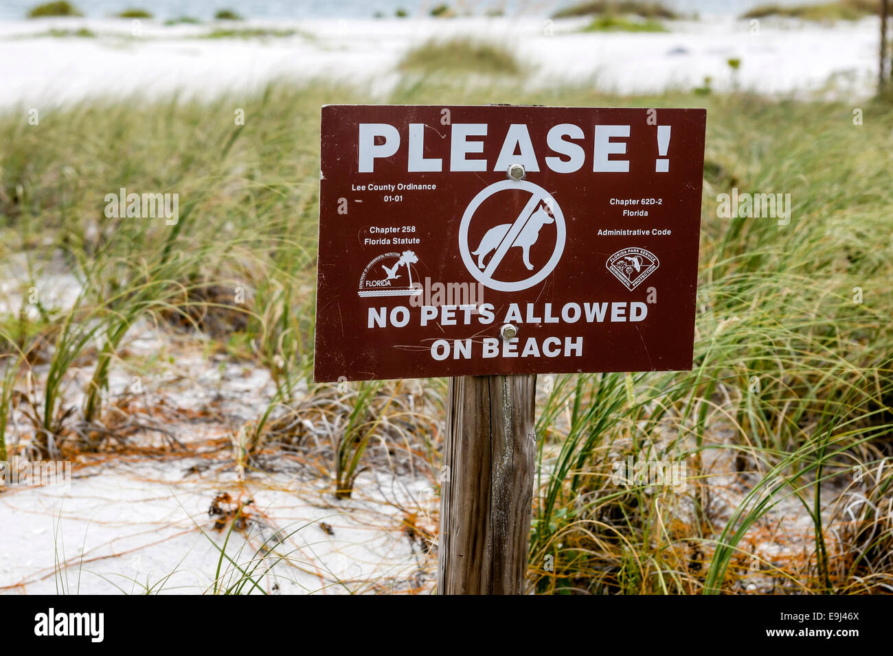 Please! No Pets Allowed on Beach Sign Stock Photo Alamy