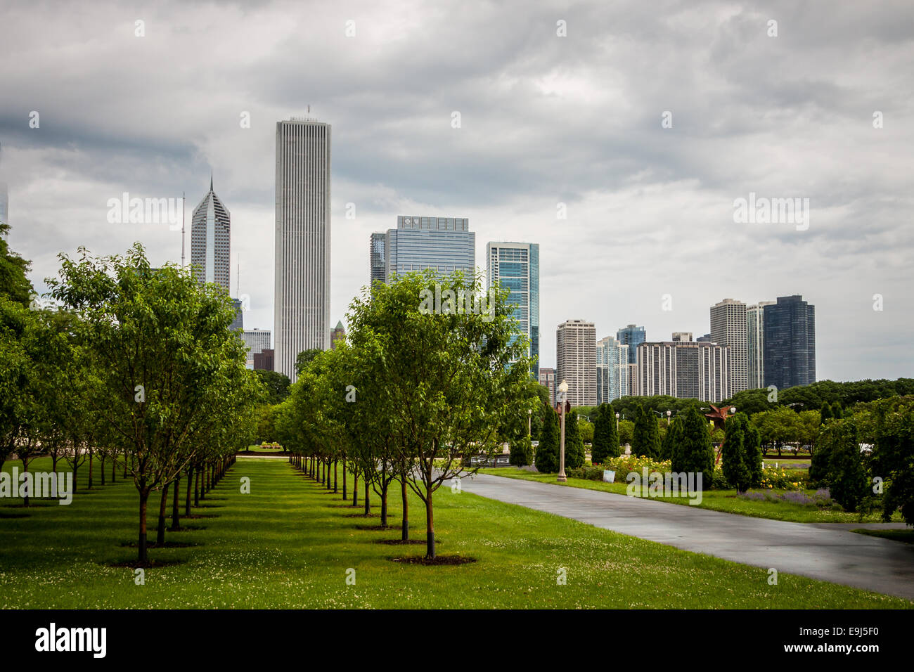 Chicago skyline from Grant Park Stock Photo - Alamy