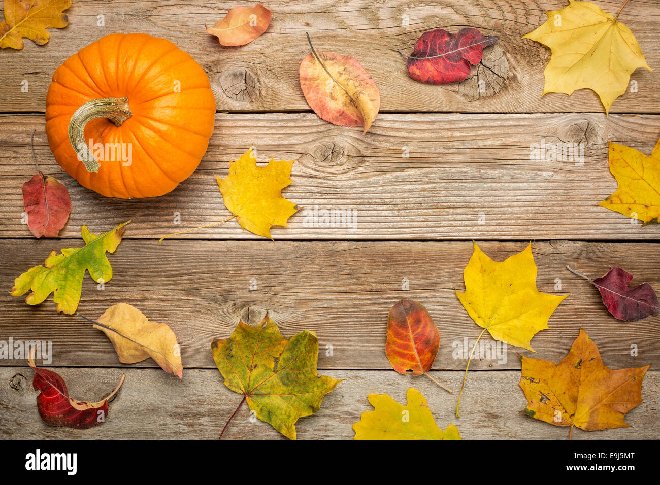 grained weathered wood background with colorful dry leaves and pumpkin ...
