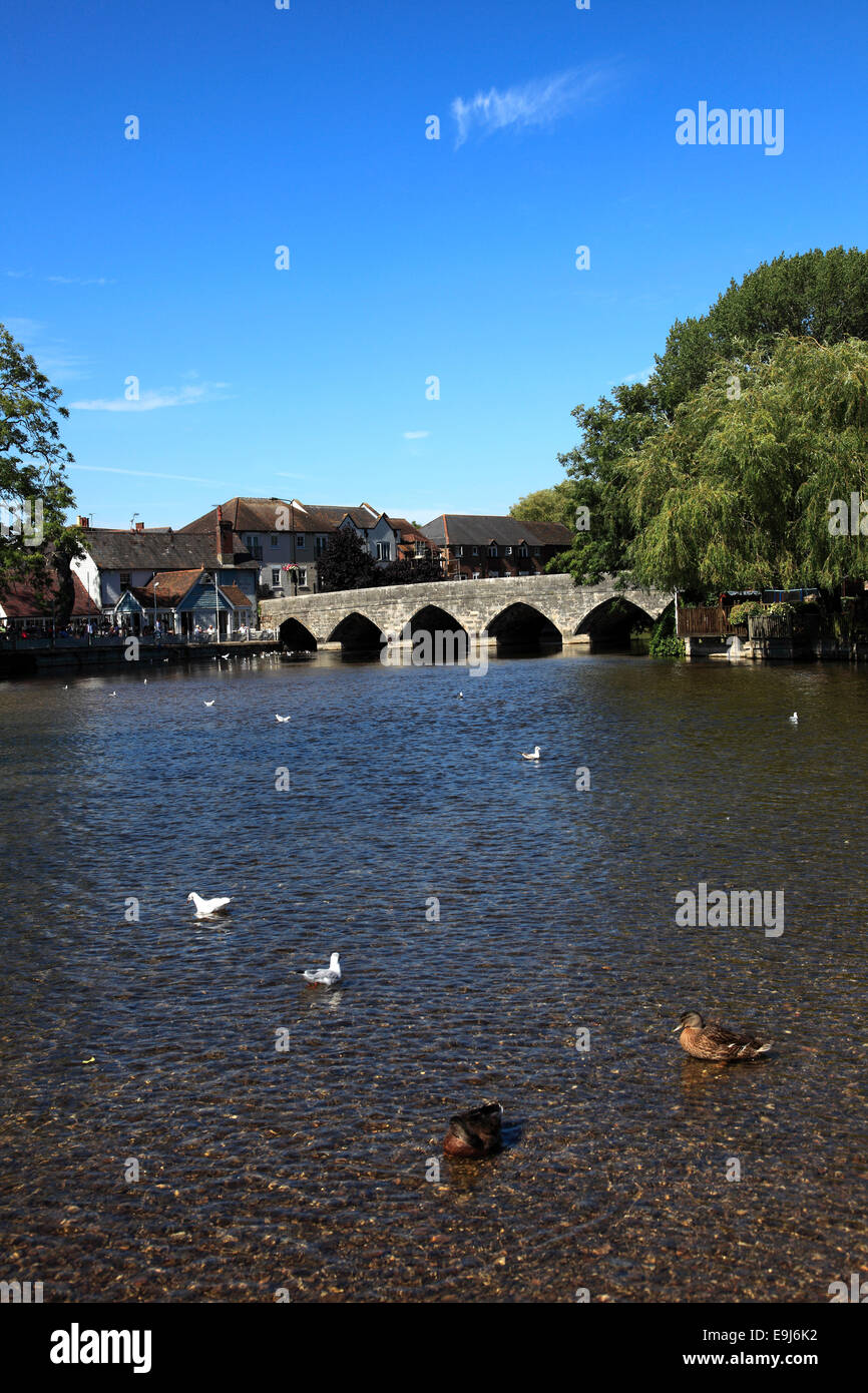 Summer view of the stone road bridge, Fordingbridge town; River Avon
