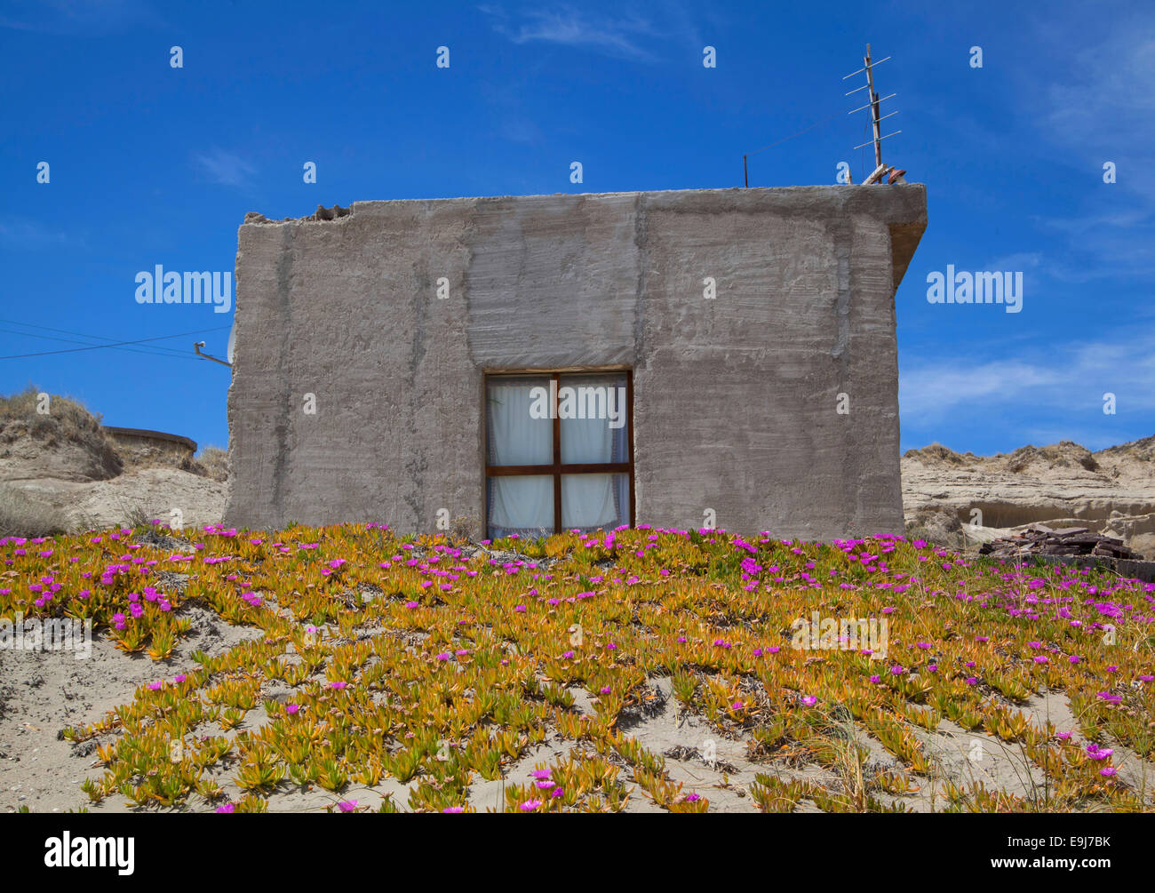 Small house with flowers in Puerto Piramides. Peninsula Valdes, Chubut, Argentina. Stock Photo