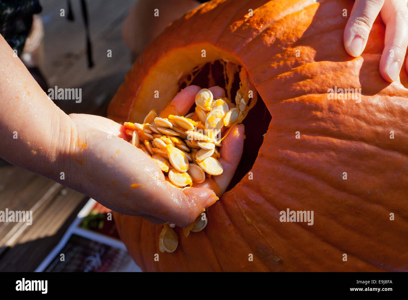 Woman removing seeds from pumpkin - USA Stock Photo