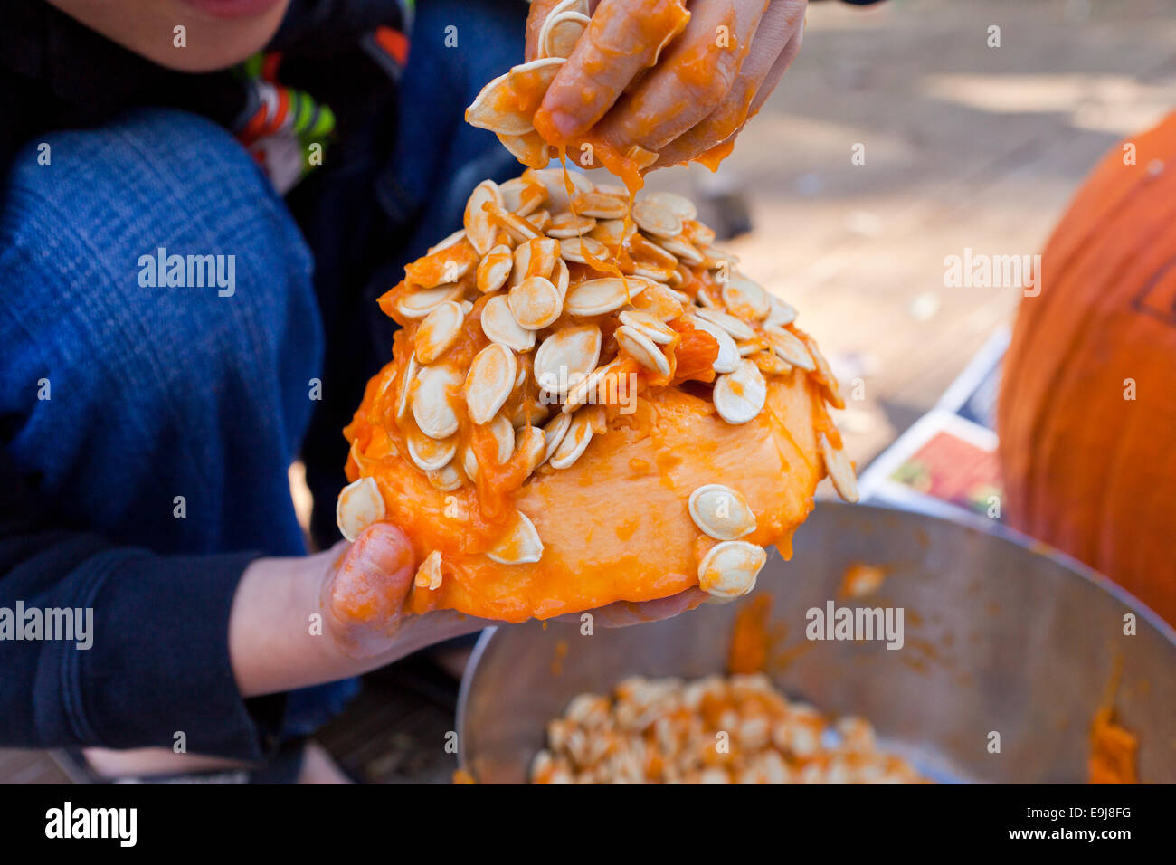 Child removing seeds from pumpkin - USA Stock Photo