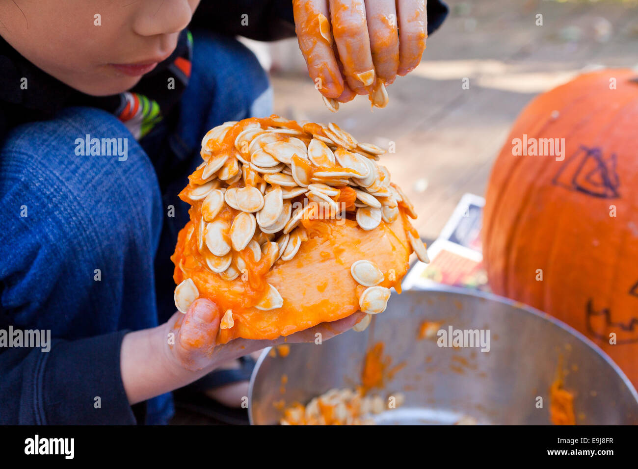 Child removing seeds from pumpkin - USA Stock Photo