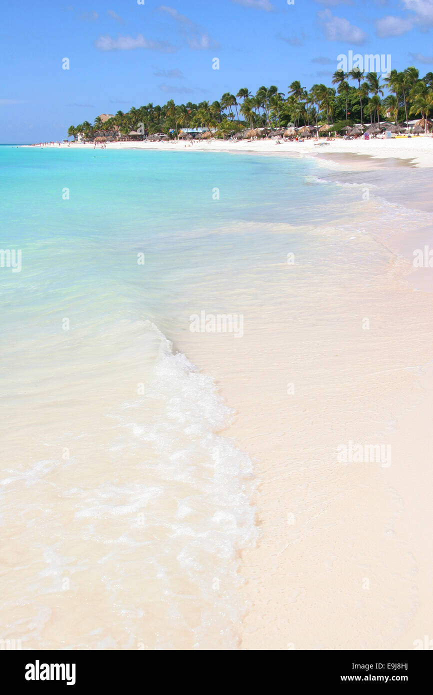 Beautiful white sand beach lined with palm trees with turquoise sea & blue sky, Manchebo Beach, Aruba, Caribbean. Stock Photo