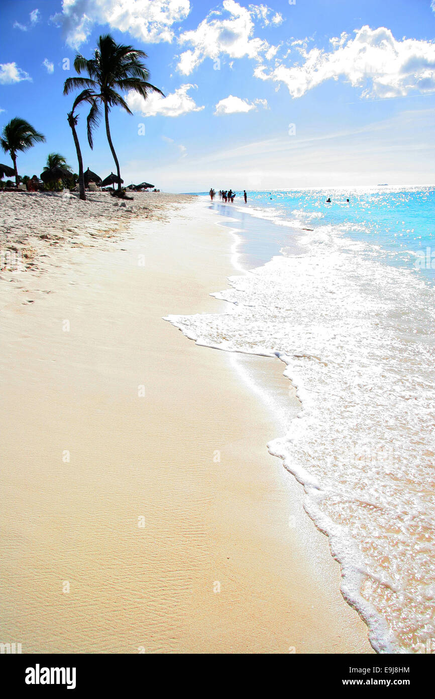 Beautiful sandy beach with palm trees, turquoise sea & blue sky, Manchebo Beach, Aruba, Caribbean. Stock Photo