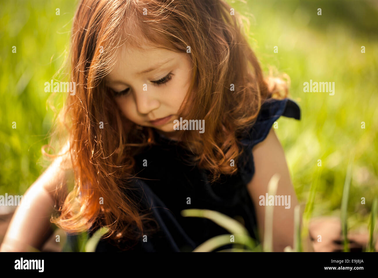 Little girl on grass in park Stock Photo - Alamy