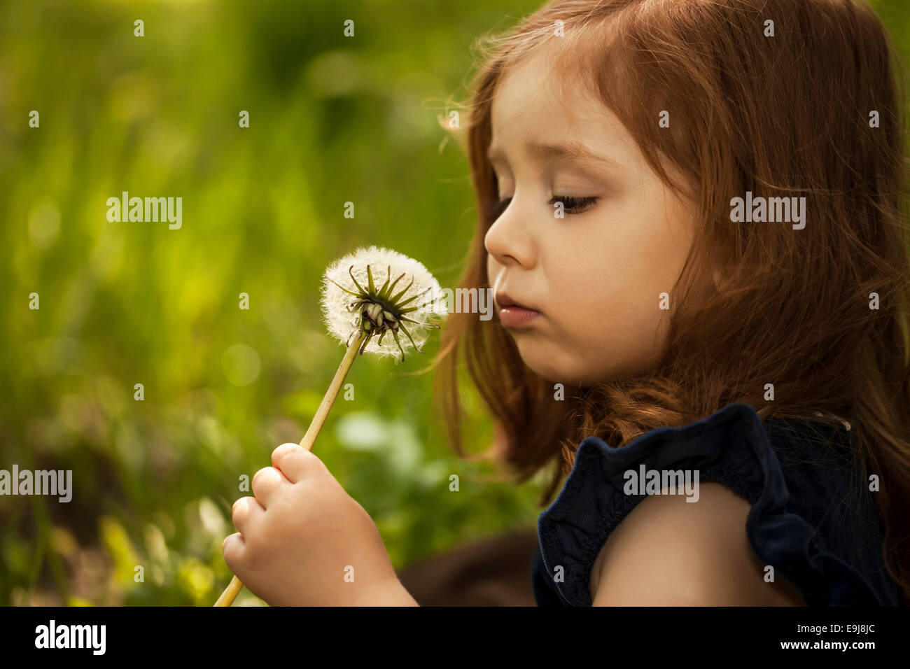 Little girl with dandelion Stock Photo - Alamy