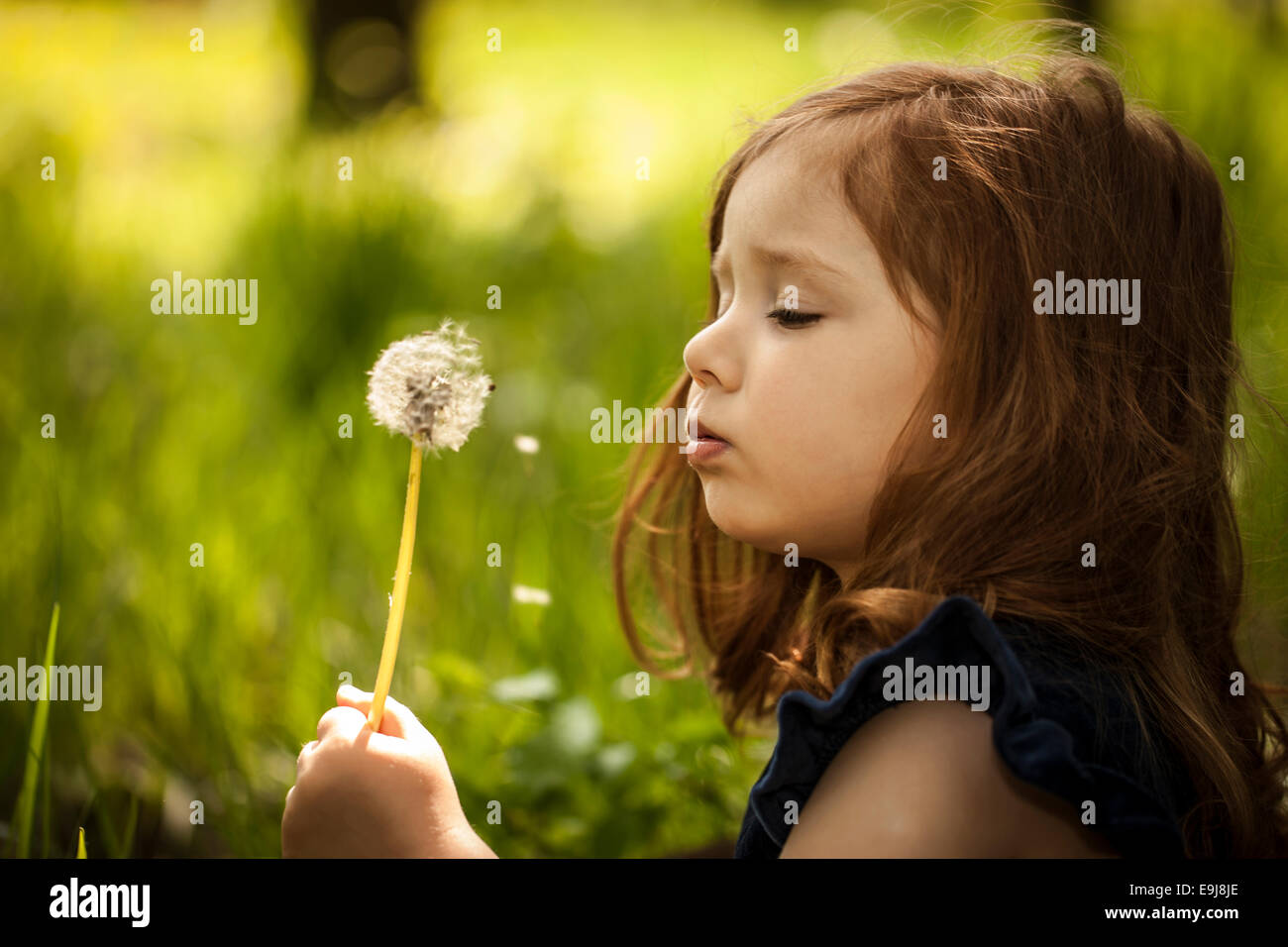 Little girl with dandelion Stock Photo - Alamy