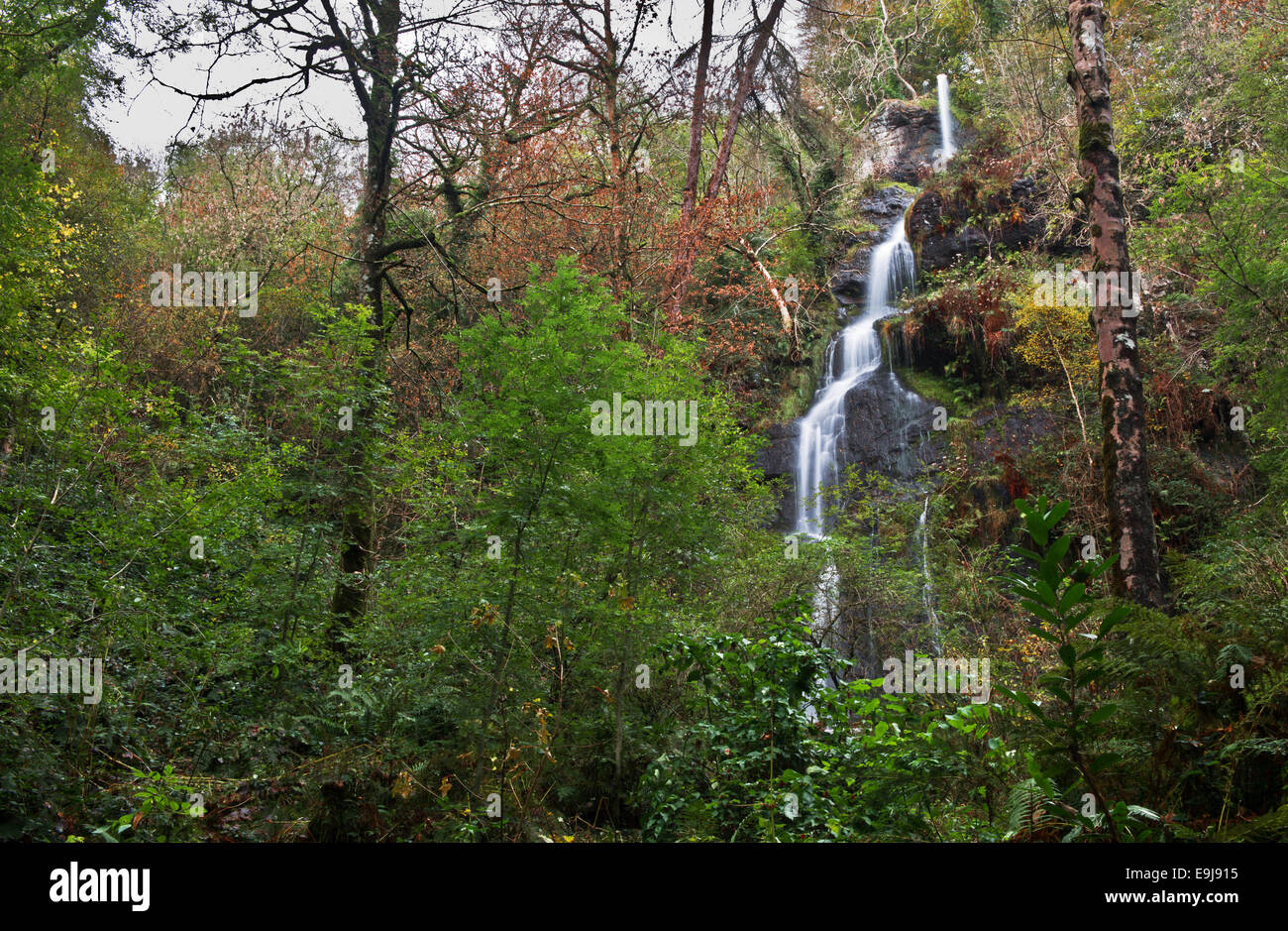 Canonteign Falls, Christow, Dartmoor National Park, South Devon