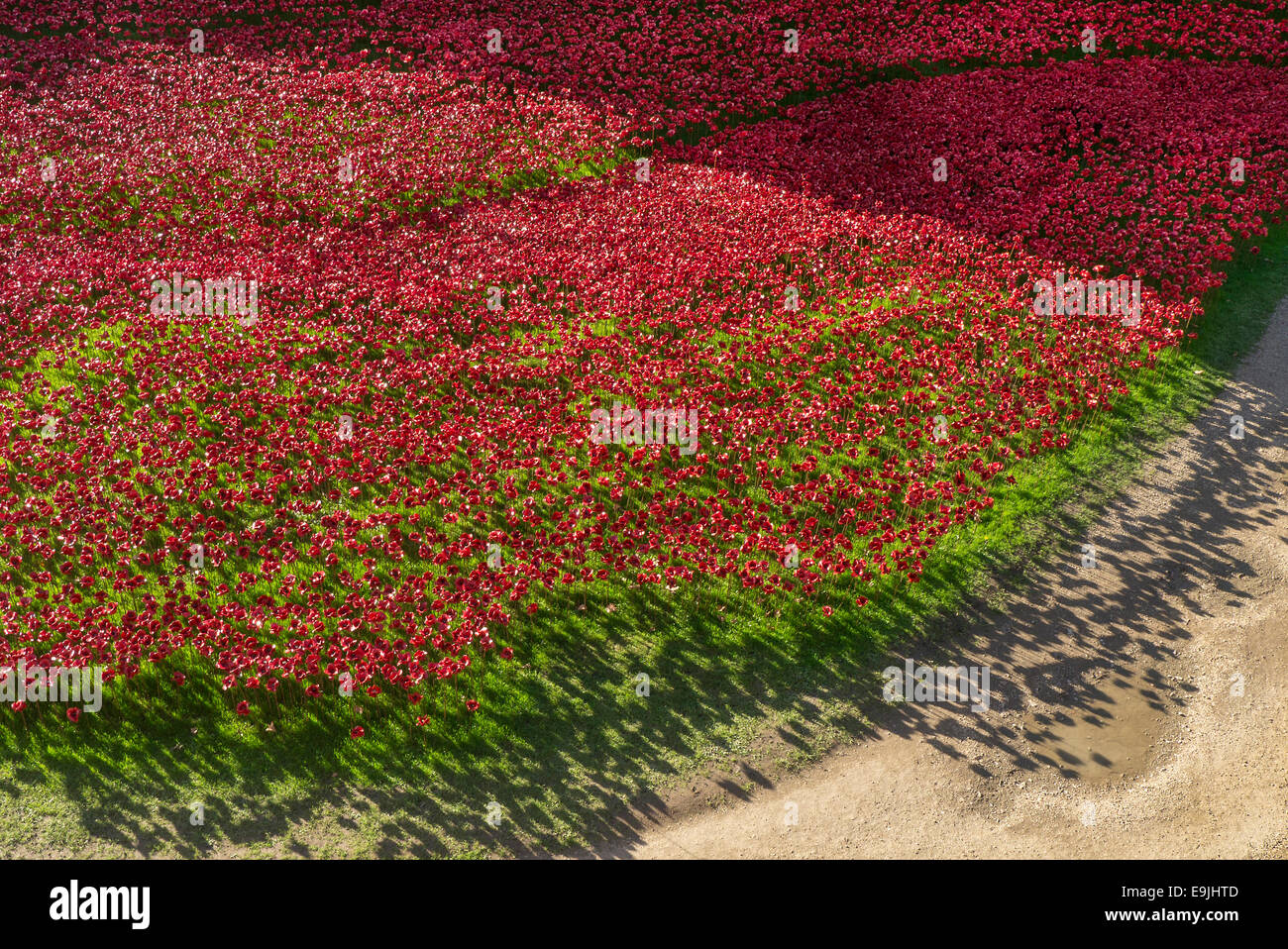 London, UK. 28th Oct, 2014. WW1 installation 'Blood Swept Lands and Seas of Red' in the moat of Tower of London. Credit:  Martyn Goddard/Alamy Live News Stock Photo