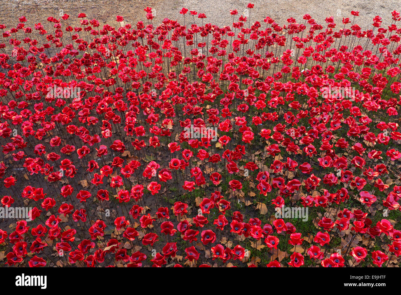 London, UK. 28th Oct, 2014. WW1 installation 'Blood Swept Lands and Seas of Red' in the moat of Tower of London. Credit:  Martyn Goddard/Alamy Live News Stock Photo