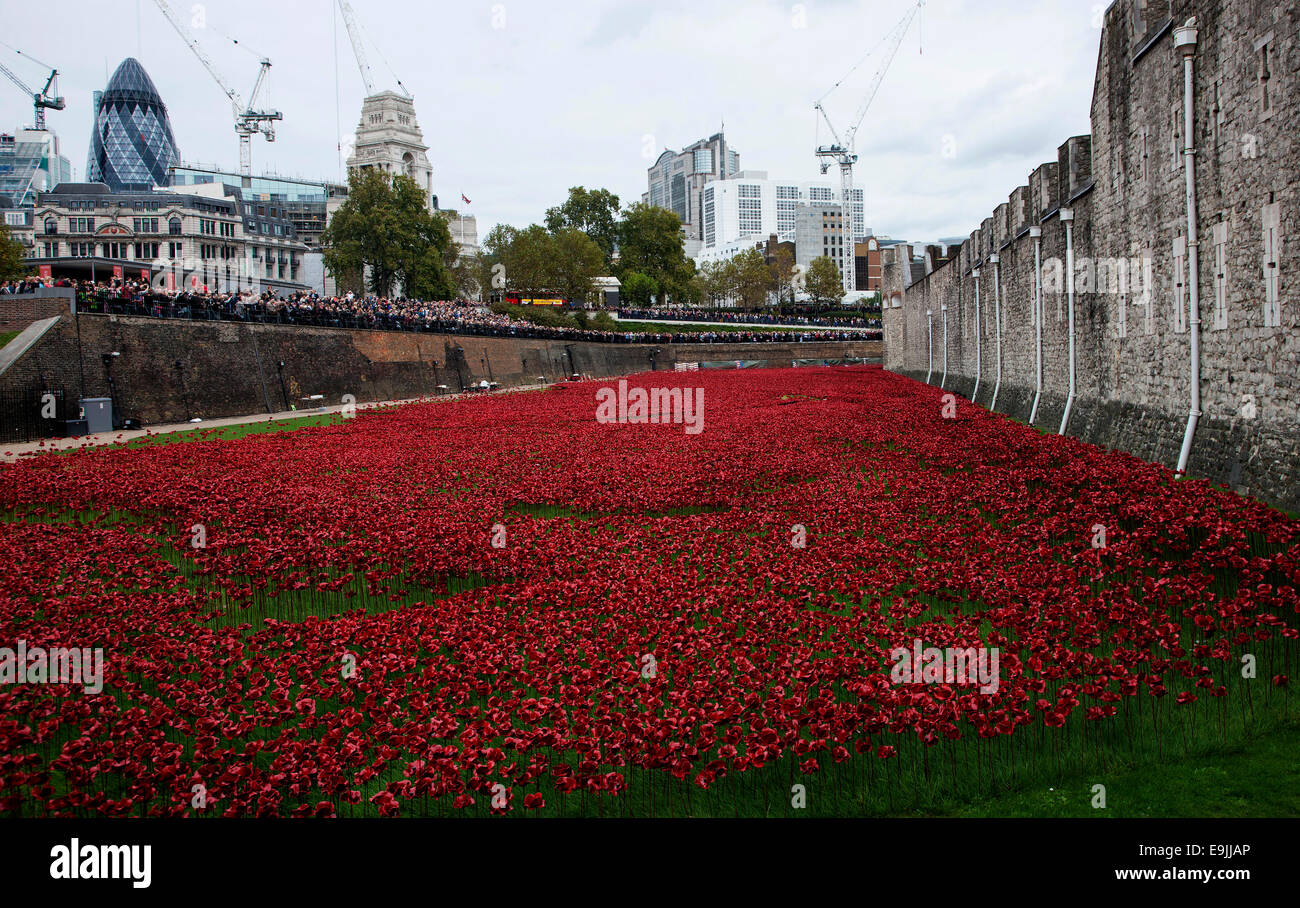 Poppies of Remembrance at Tower of London Stock Photo - Alamy
