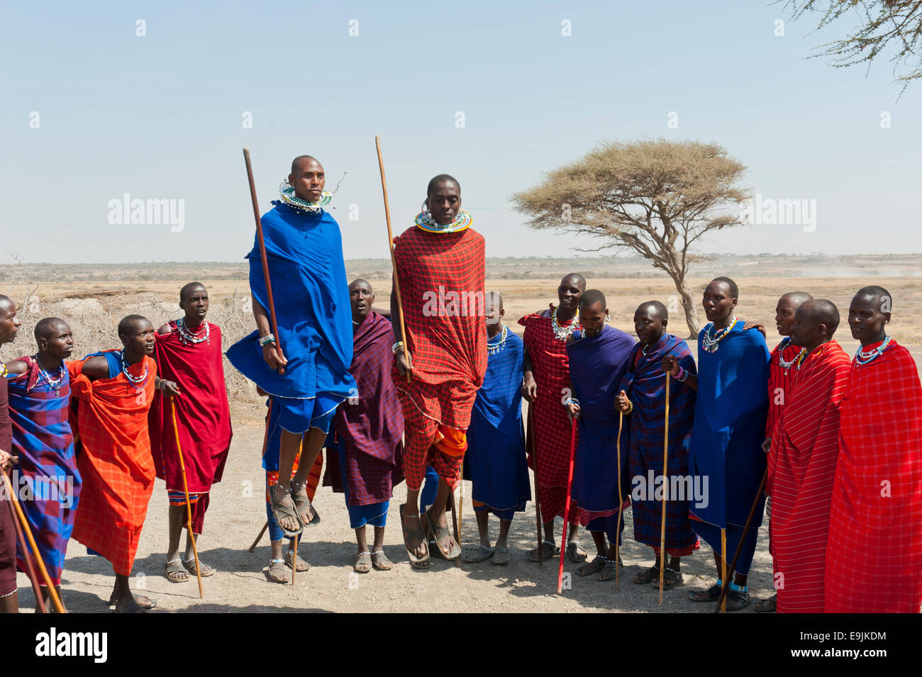 Maasai, group of men and women dancing, two men jumping, Ngorongoro Conservation Area, Kiloki, Tanzania Stock Photo