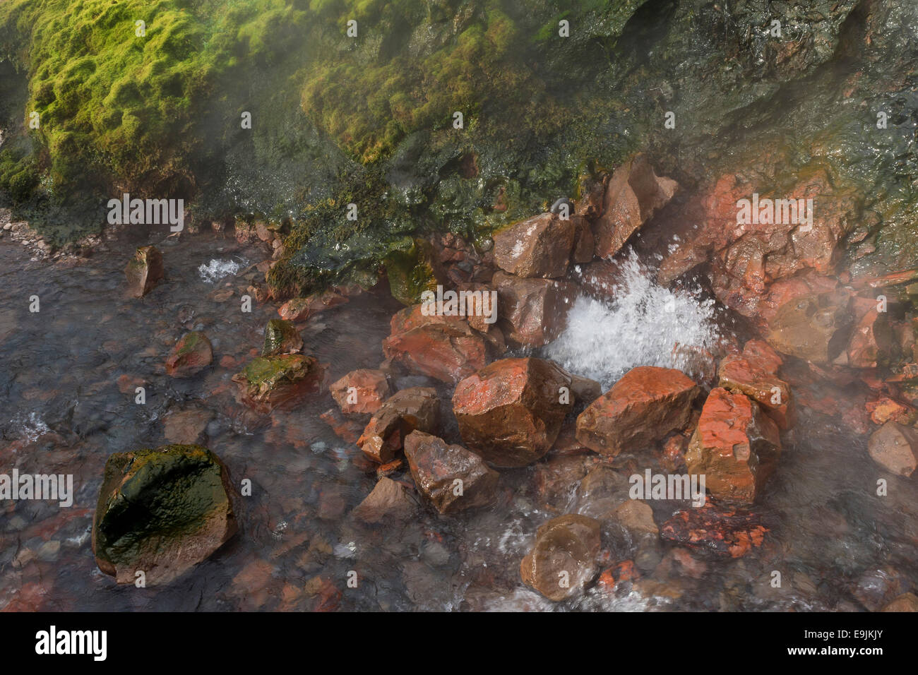 Hot Spring Deildartunguhver, highest-flow hot spring of Iceland with 180 liters of boiling water per second, Reykholtsdalur Stock Photo