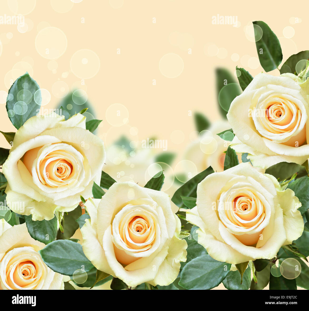 Peach wedding hires stock photography and images Alamy