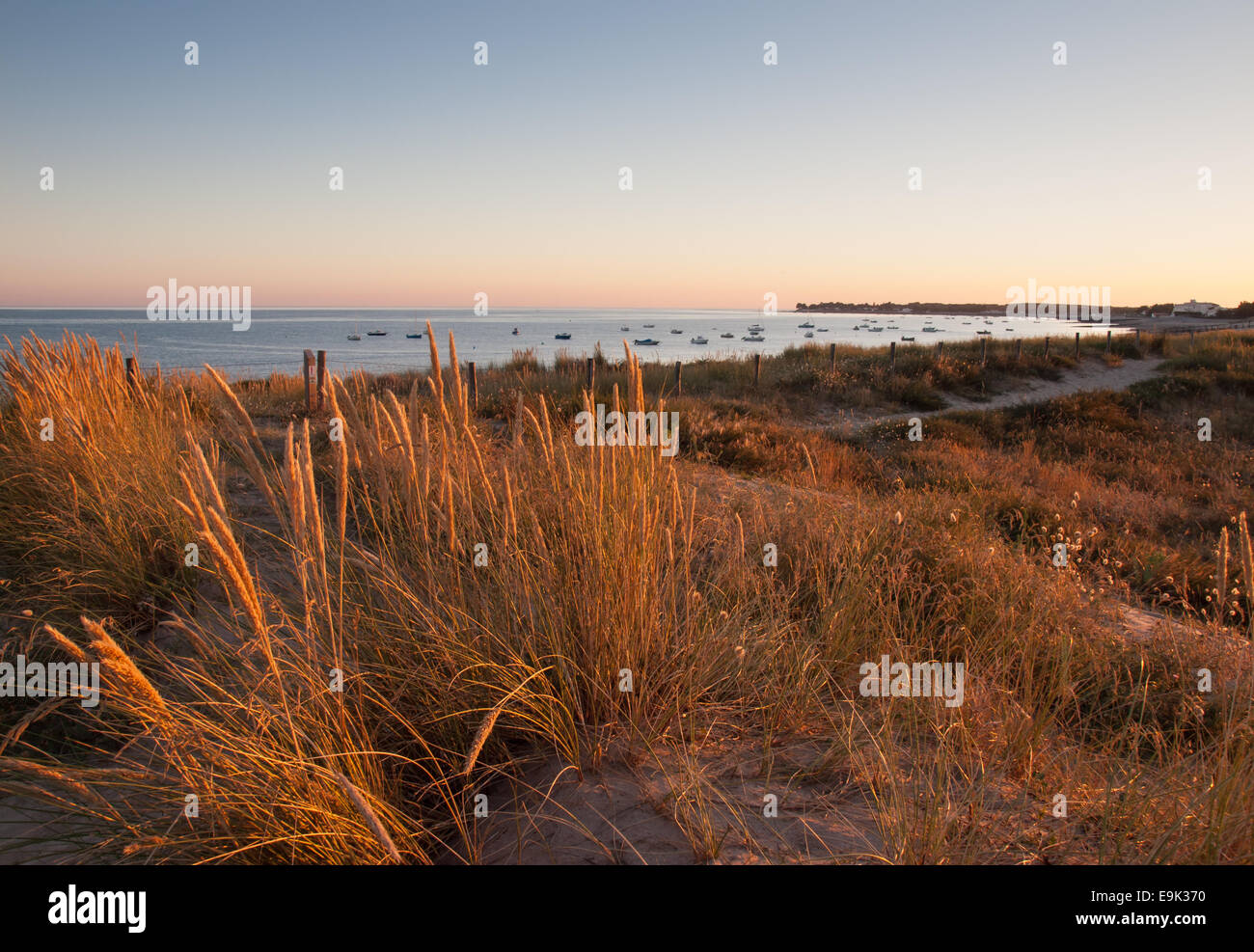 beach and coastal dunes viewed in soft evening light on the french atlantic coast noirmoutier Stock Photo