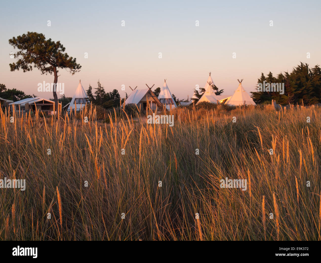 luxury campsite in coastal dunes viewed through field of grass in golden evening light Stock Photo