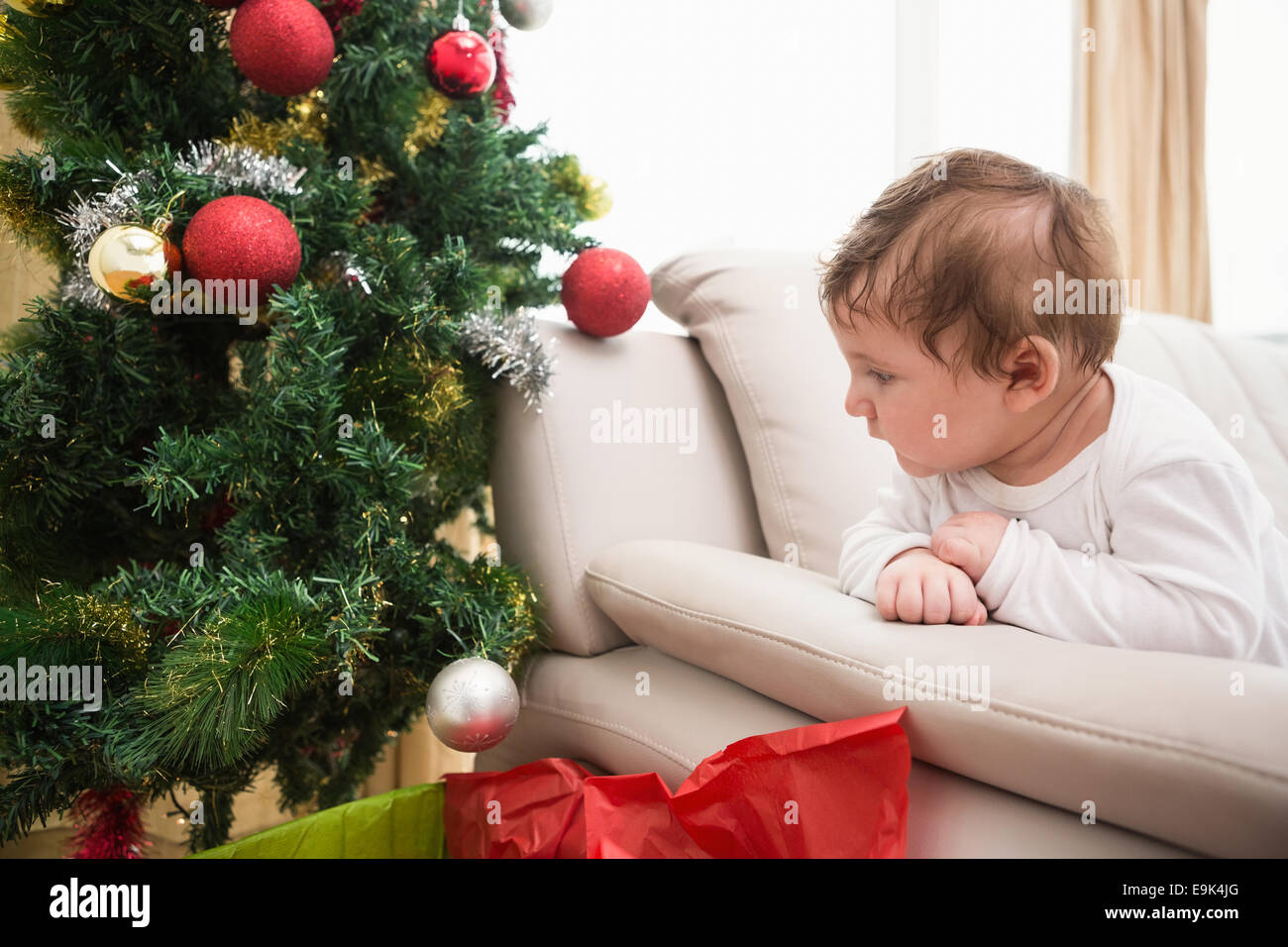 Cute baby boy on couch at christmas Stock Photo Alamy
