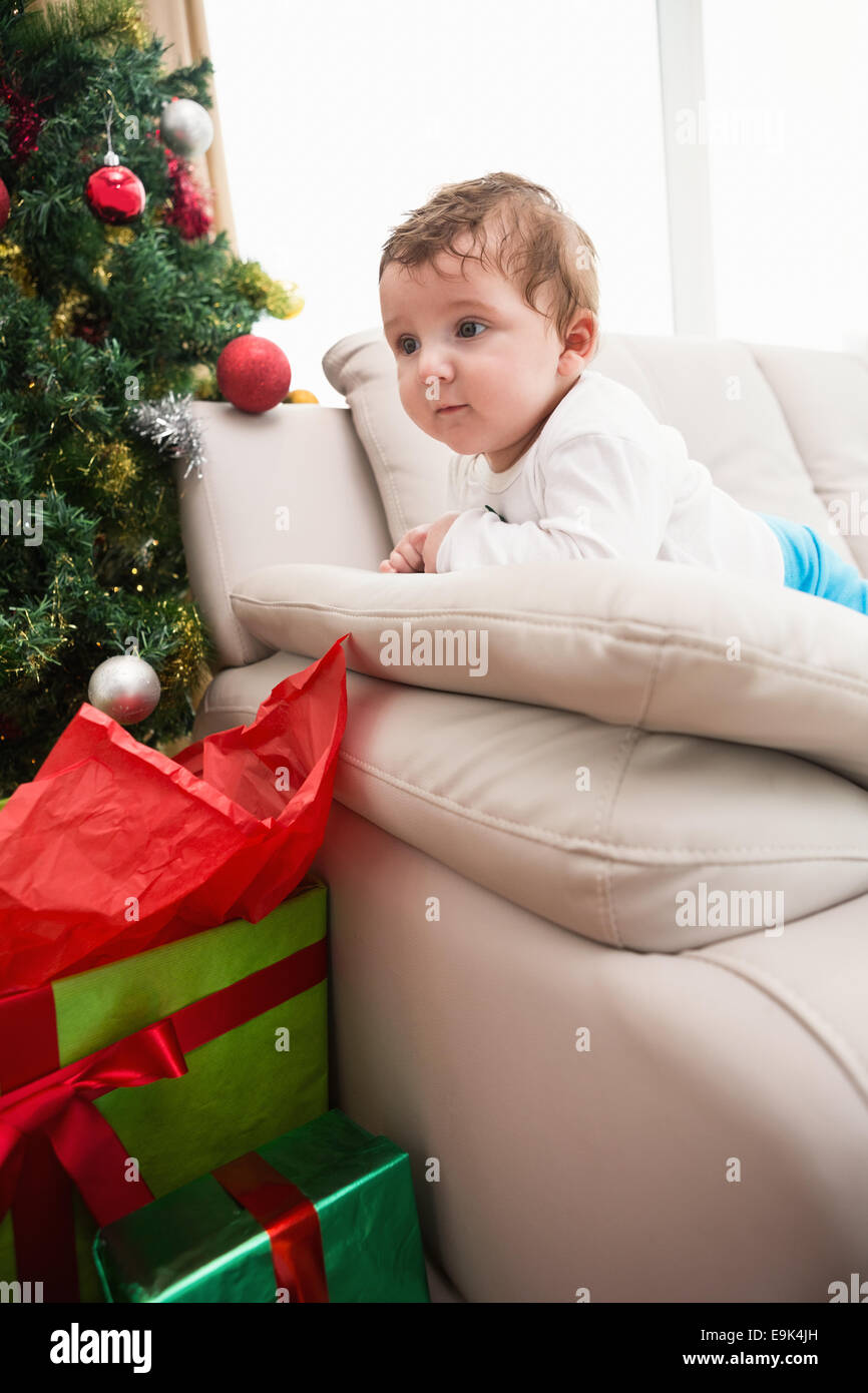 Cute baby boy on couch at christmas Stock Photo Alamy