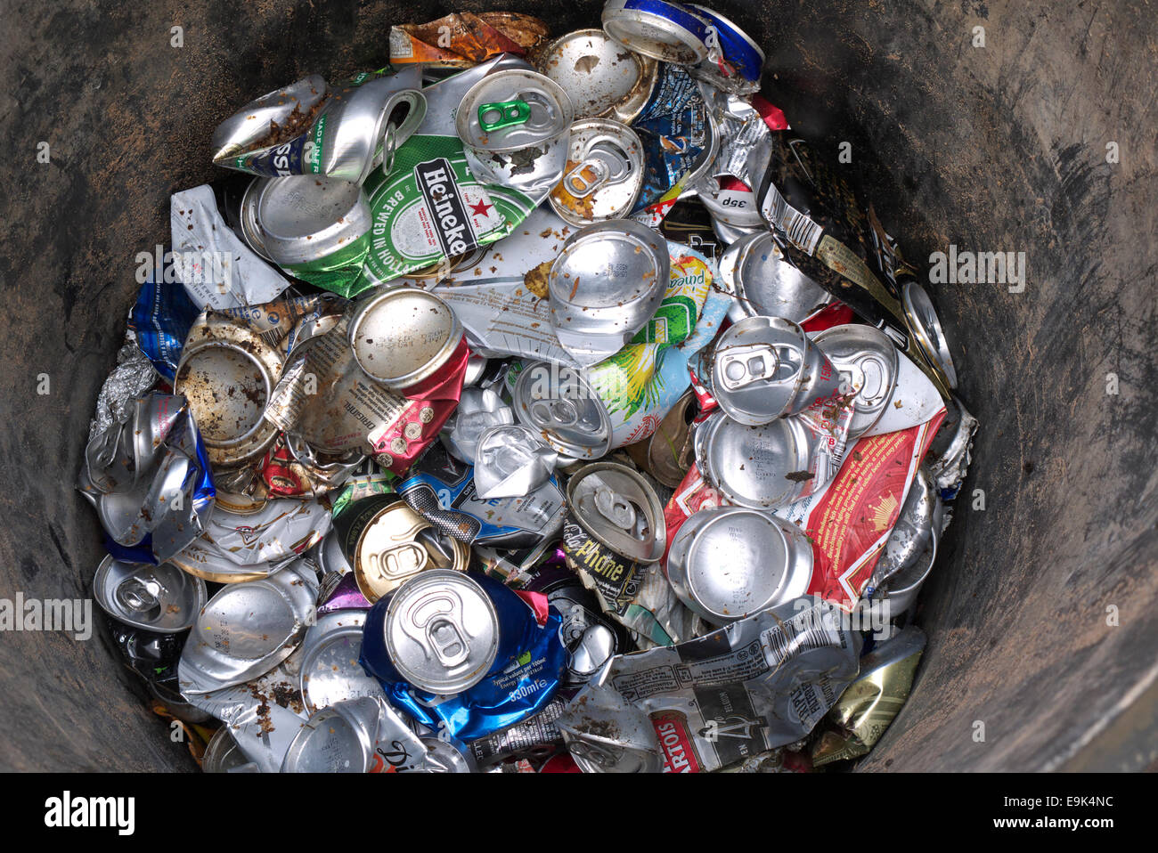 drinks cans in a bin waiting to be recycled Stock Photo Alamy