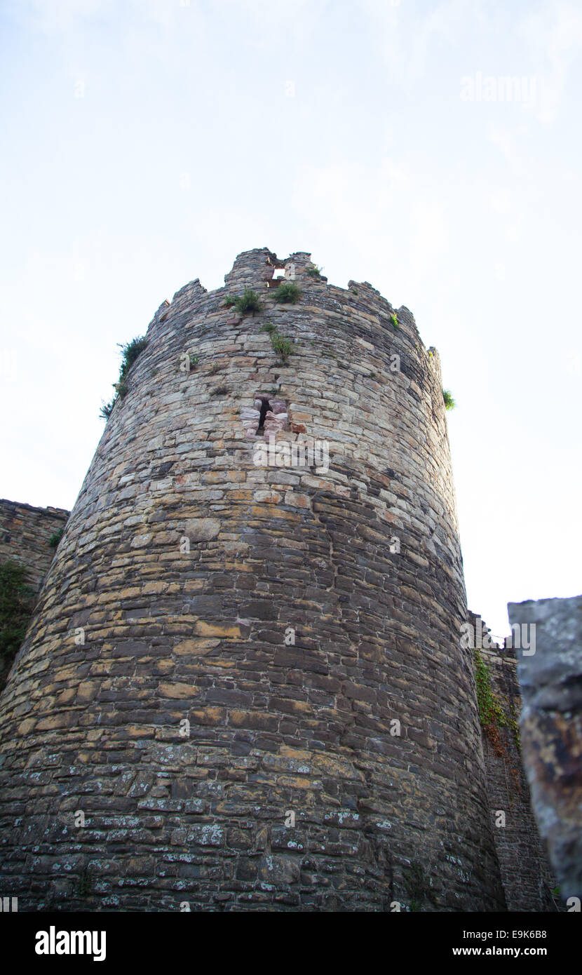 Tower on Conwy Town Walls near lower Gate Street, Conwy shot against a