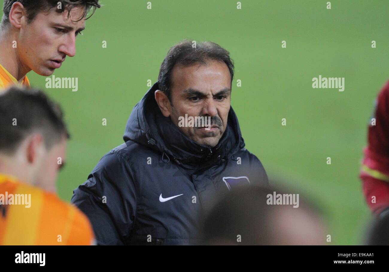 Bielefeld, Germany. 28th Oct, 2014. Hertha's trainer Jos Luhukay during the German DFB-Cup match between Arminia Bielefeld and Hertha BSC at the Schueco Arena in Bielefeld, Germany, 28 October 2014. Credit:  dpa picture alliance/Alamy Live News Stock Photo