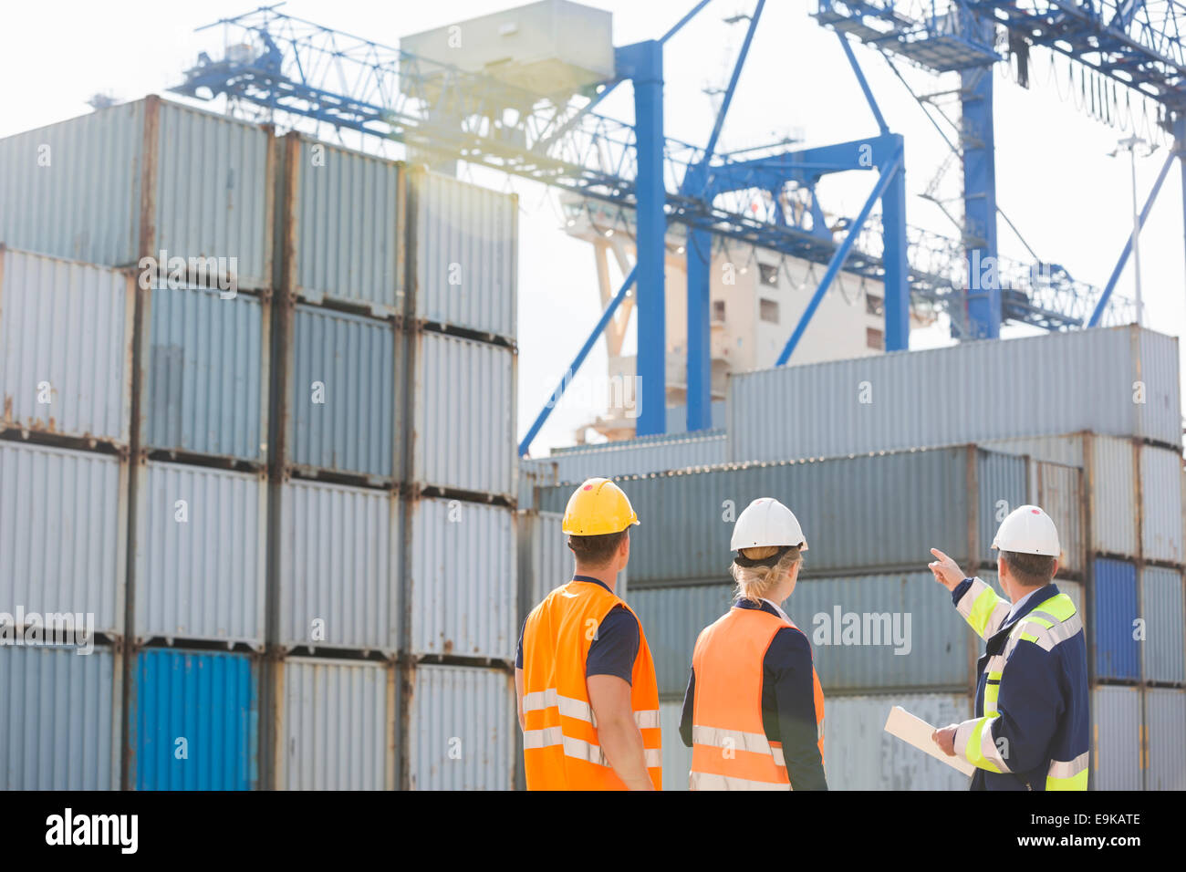 Rear view of workers inspecting cargo containers in shipping yard Stock Photo