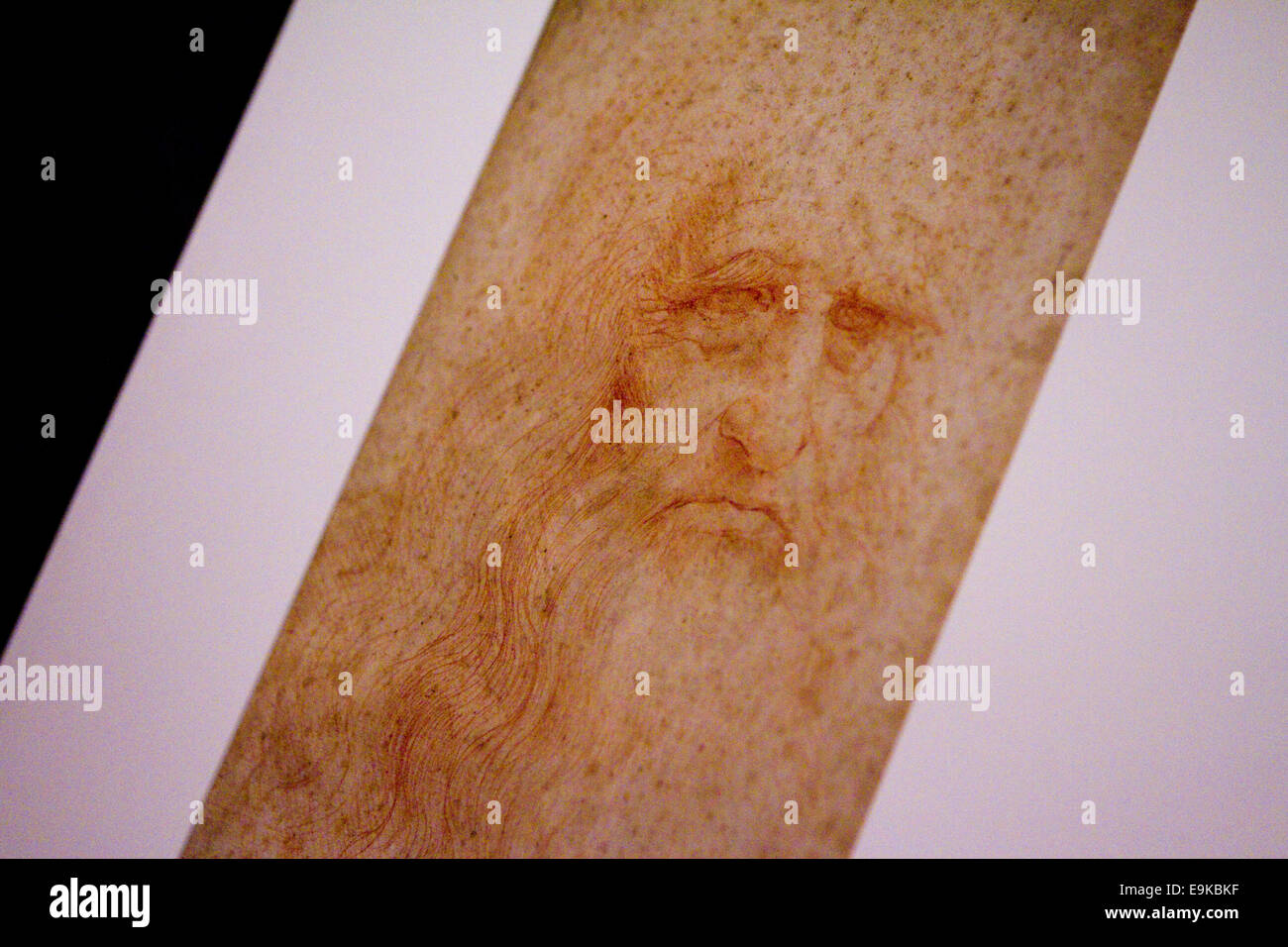 Torino, Italy. 28th October 2014. Detail of Leonardo da Vinci self portrait (portrait of a man in red chalk). An exhibition of Leonardo and other artist drawings opens in the vaults of the Royal Library of Torino, Italy. Stock Photo