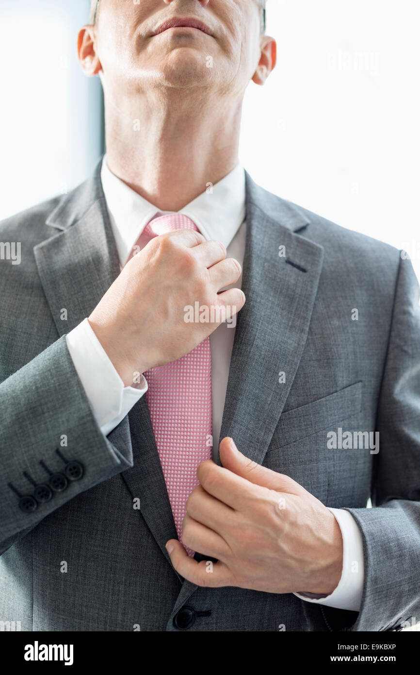 Midsection of mature businessman adjusting tie Stock Photo