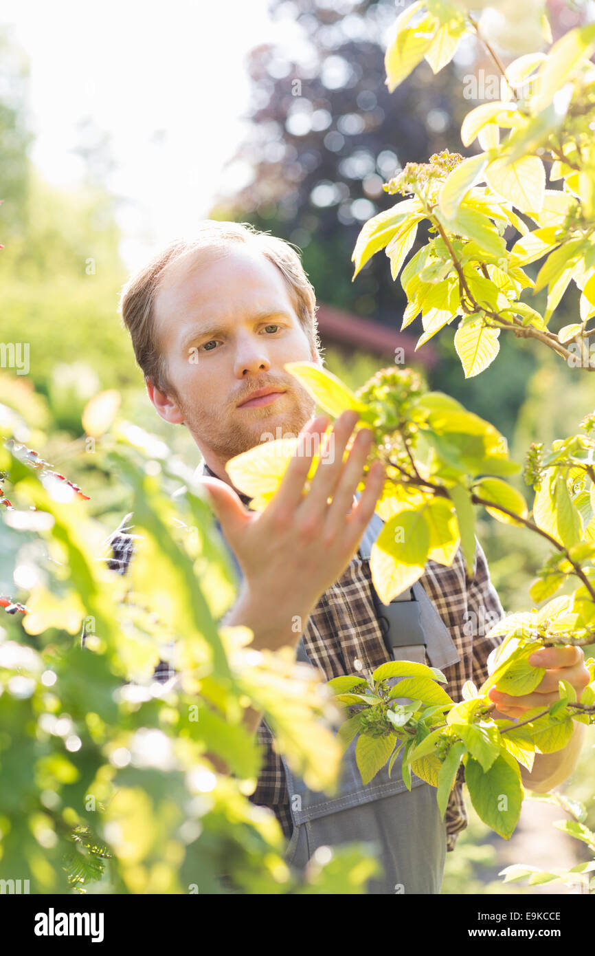 Person outdoors plants touching hires stock photography and images Alamy