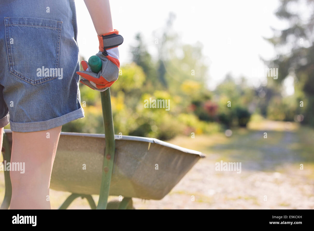 Midsection rear view of female gardener pushing wheelbarrow at plant nursery Stock Photo