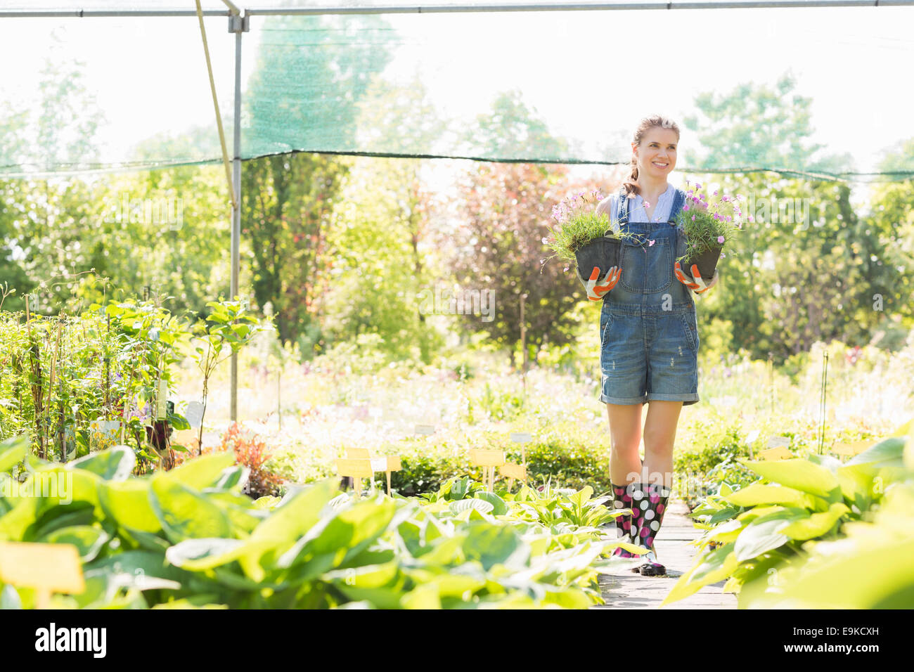 Full-length of gardener looking away while holding potted plants at greenhouse Stock Photo