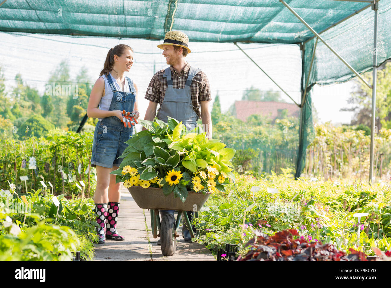 Gardeners discussing while pushing plants in wheelbarrow at greenhouse Stock Photo