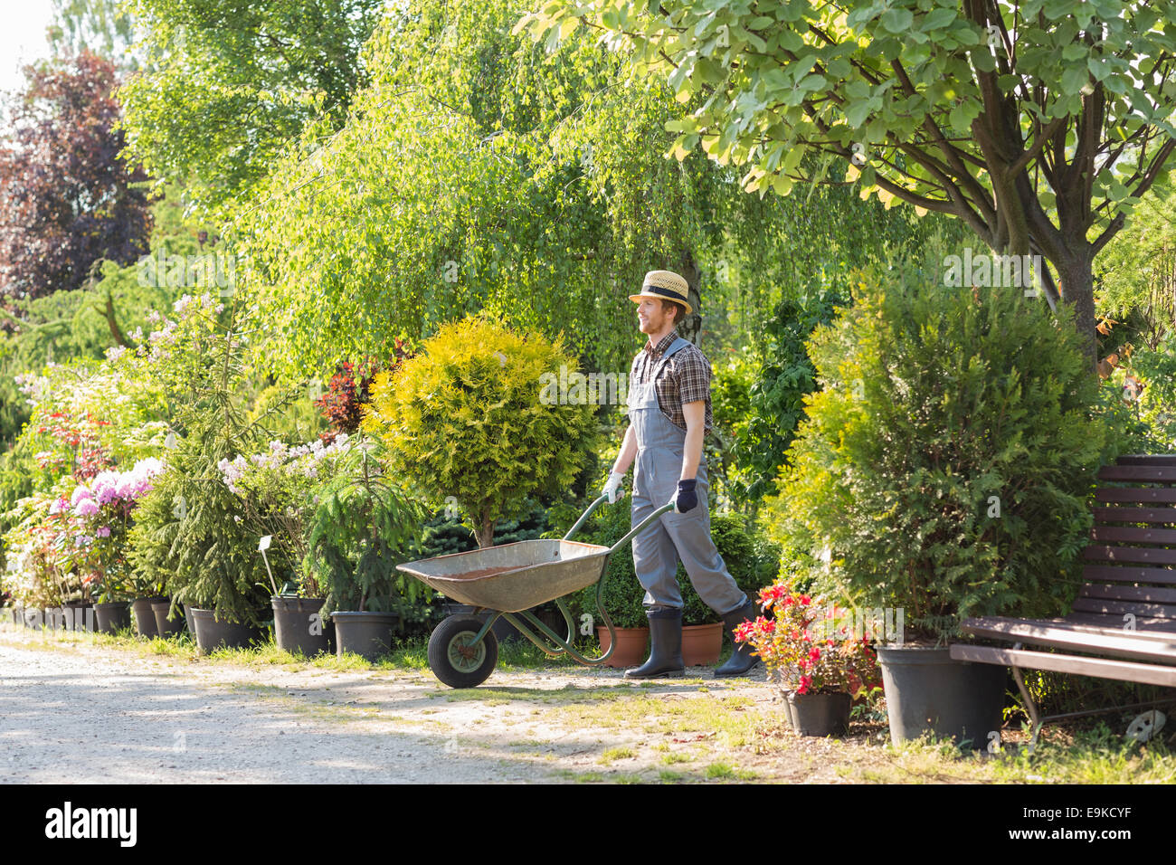 Man pushing wheelbarrow at garden Stock Photo