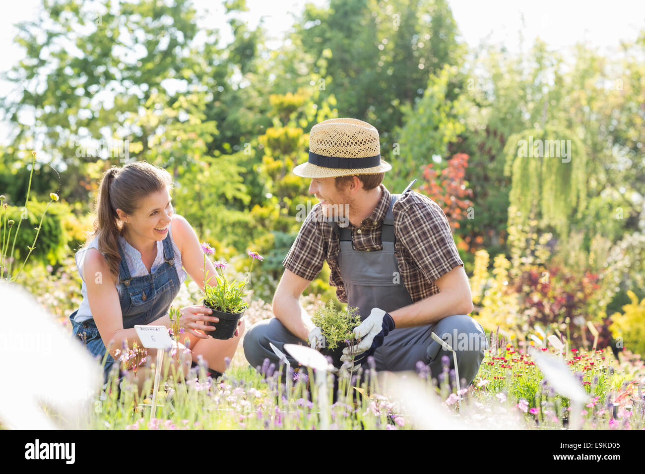 Gardeners talking while gardening at plant nursery Stock Photo