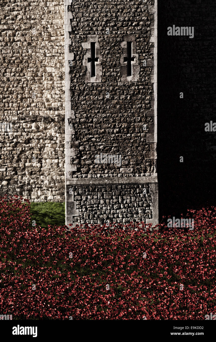 Tower of London Poppies display as a memorial for the dead of World War 1  ( WWI), London England UK Stock Photo